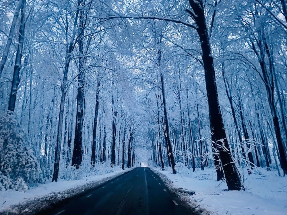 Ralph Delfos sneeuw