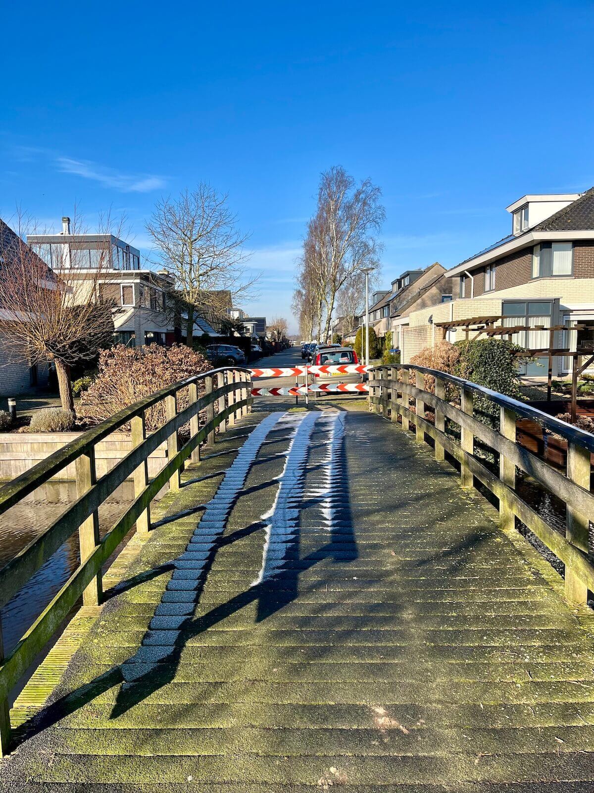 Rijp op een brug-1