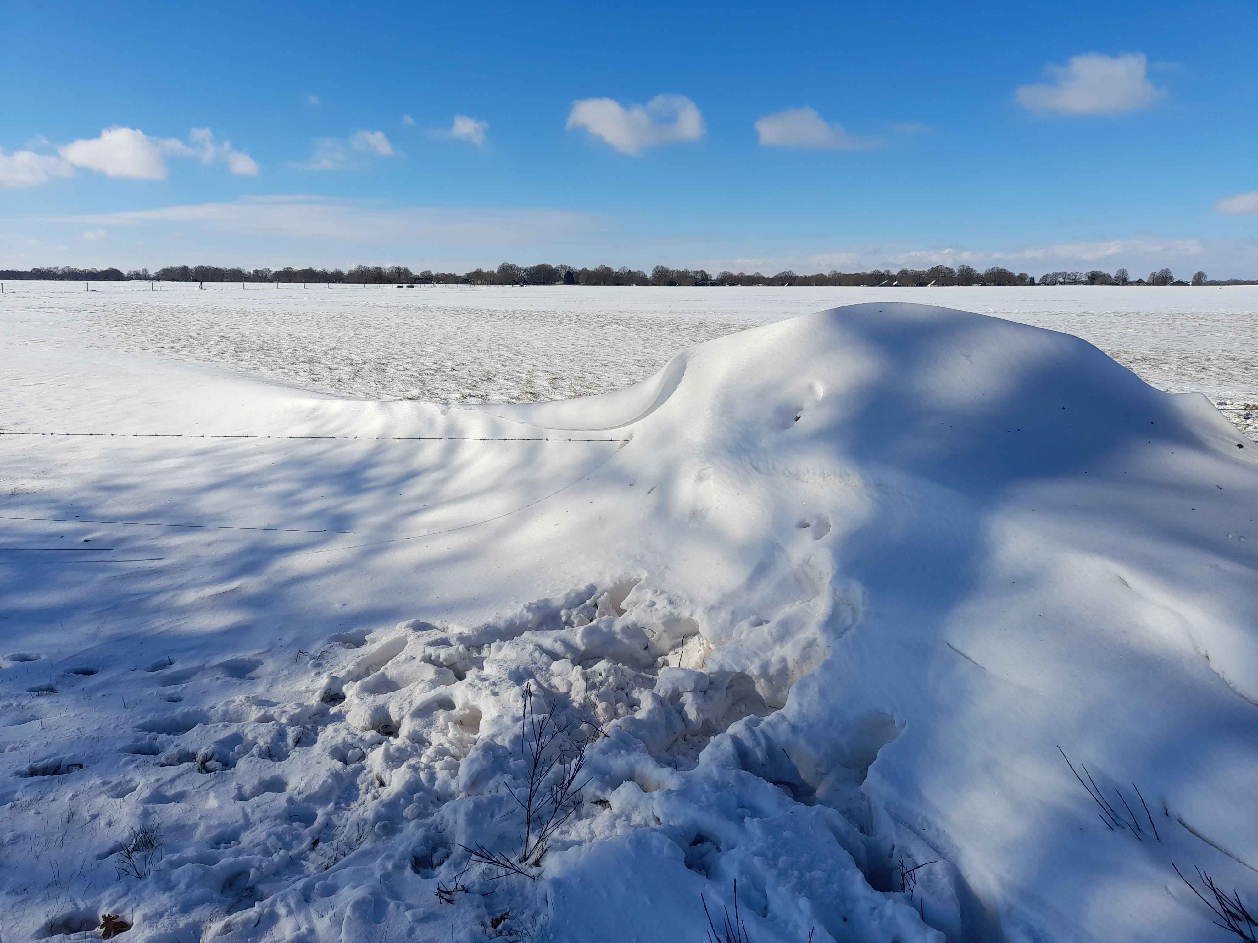 sneeuwduin Tiny Post